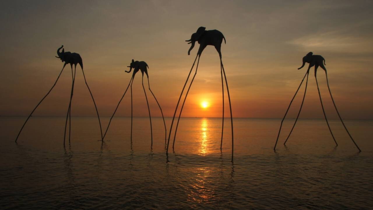 Frase do dia de Salvador Dalí, pintor espanhol e pai do surrealismo A única diferença entre eu e um louco é que eu não sou louco