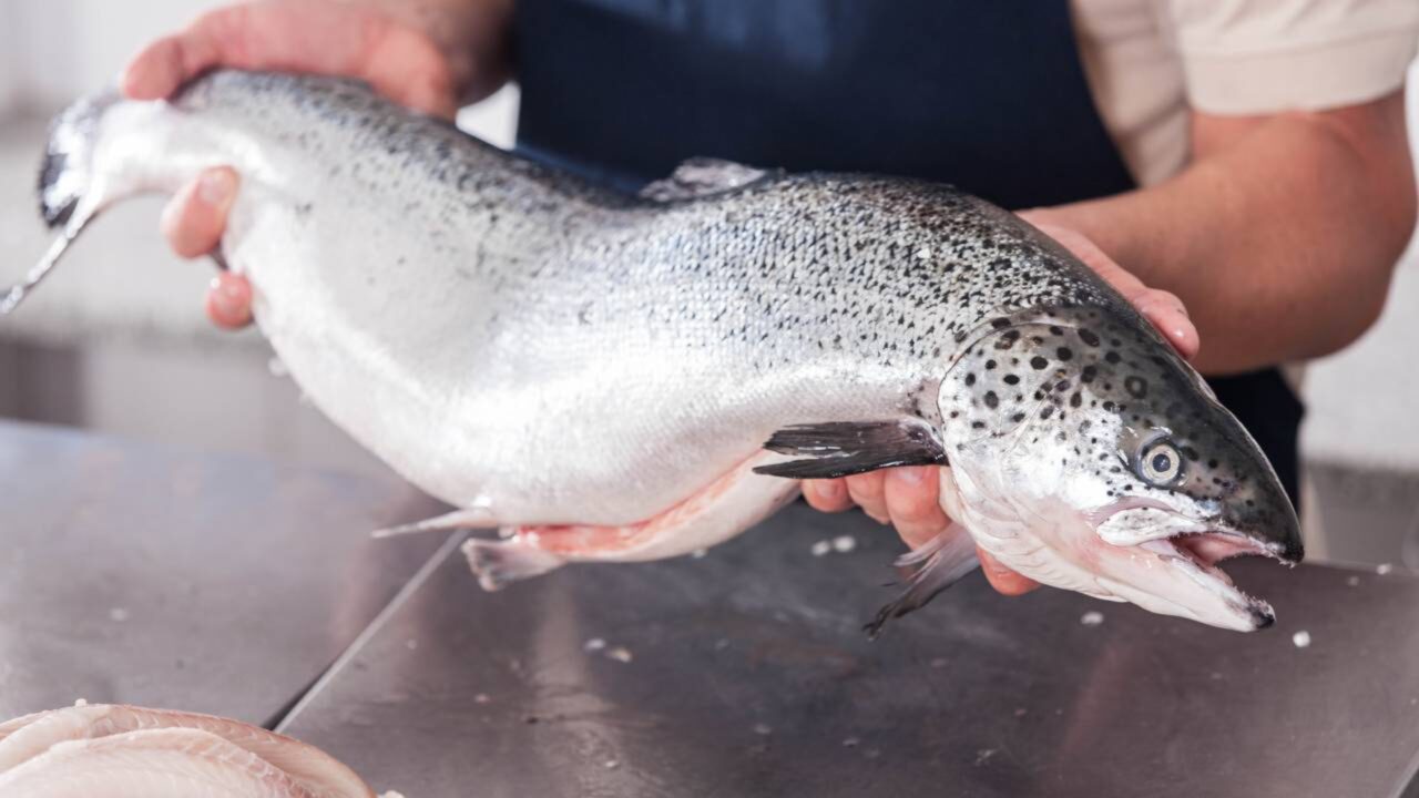 Noruega está procurando 45 trabalhadores para fábrica de salmão e paga salários de 3.300 euros por mês e apoios à habitação