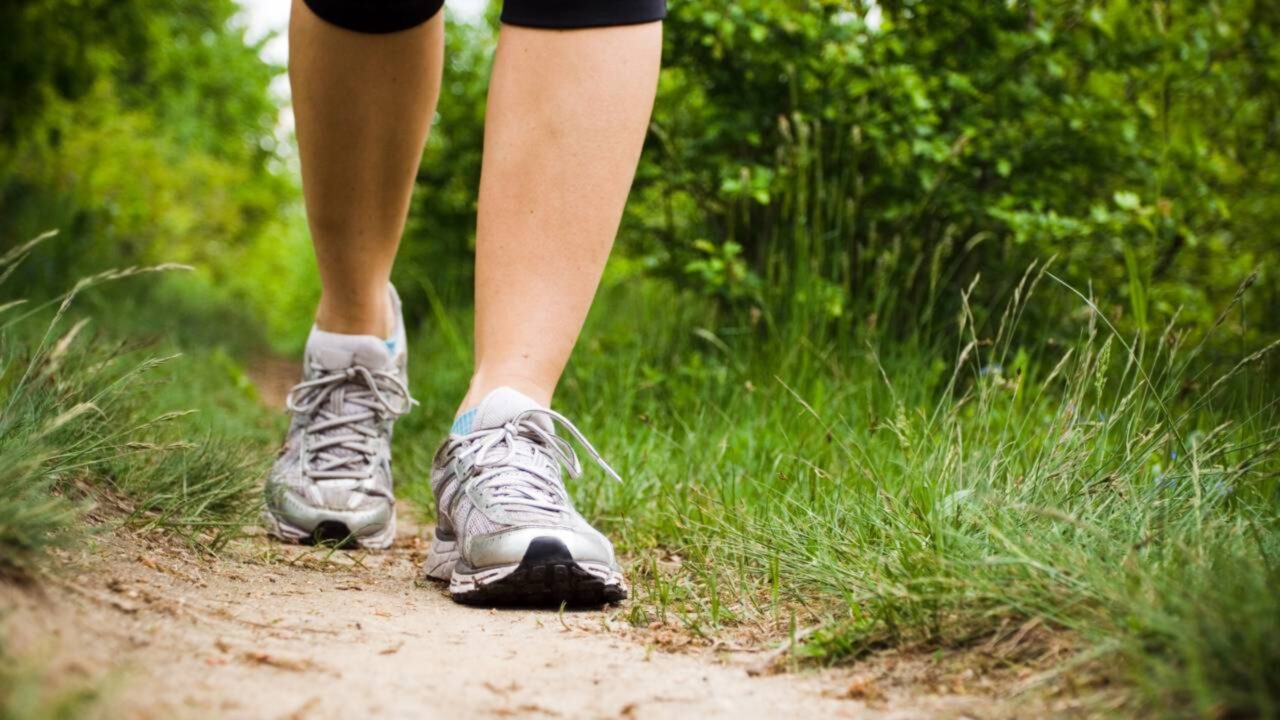 Os treinadores consentem Sair para caminhar 5 dias por semana, de segunda a sexta-feira, significa uma perda de 78.000 calorias por ano