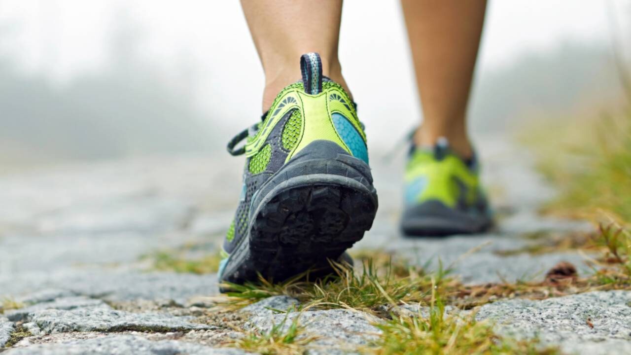 Os treinadores consentem: “Sair para caminhar 5 dias por semana, de segunda a sexta-feira, significa uma perda de 78.000 calorias por ano”