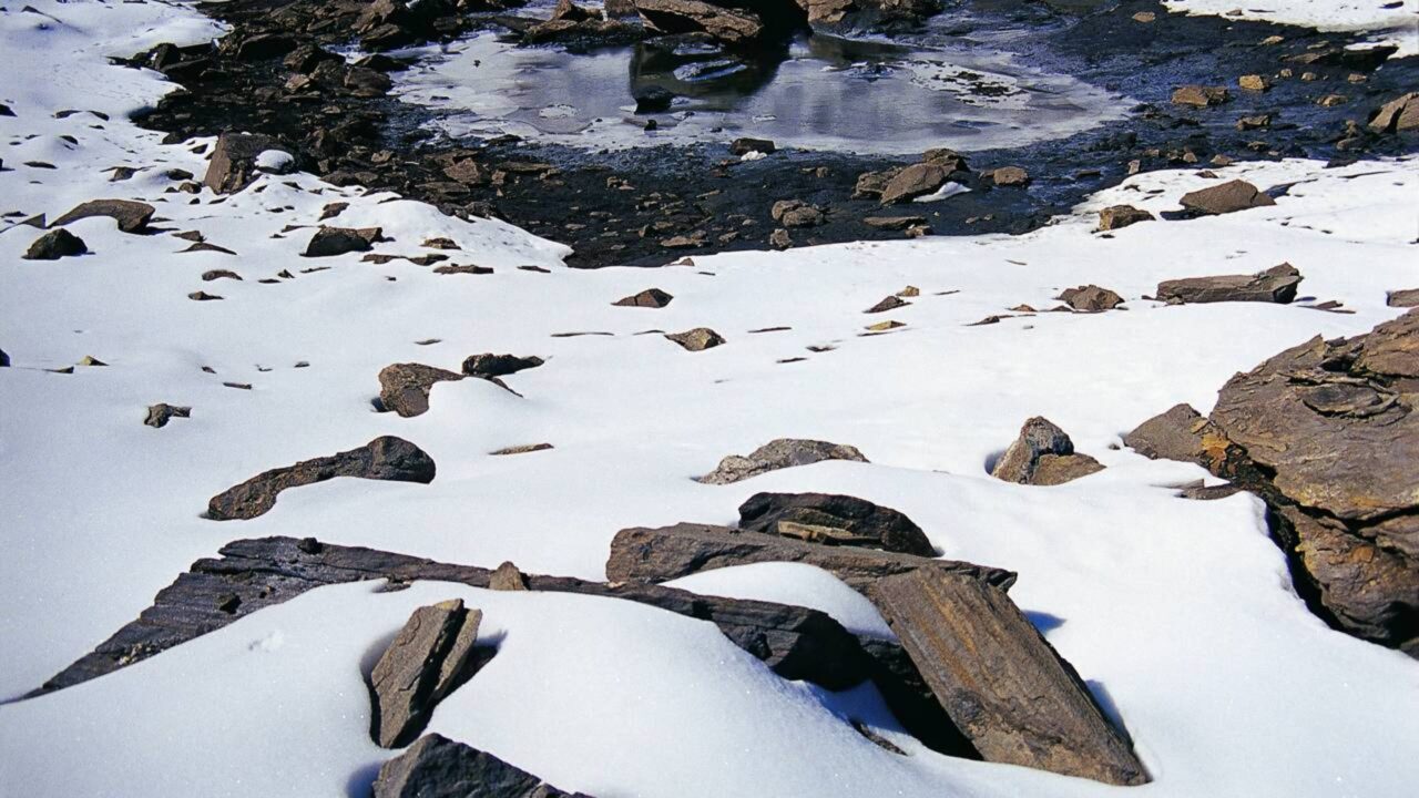 Centenas de esqueletos encontrados em um lago congelado do Himalaia foram atribuídos a uma única tragédia antiga, até que análises de DNA revelaram uma história muito mais complexa