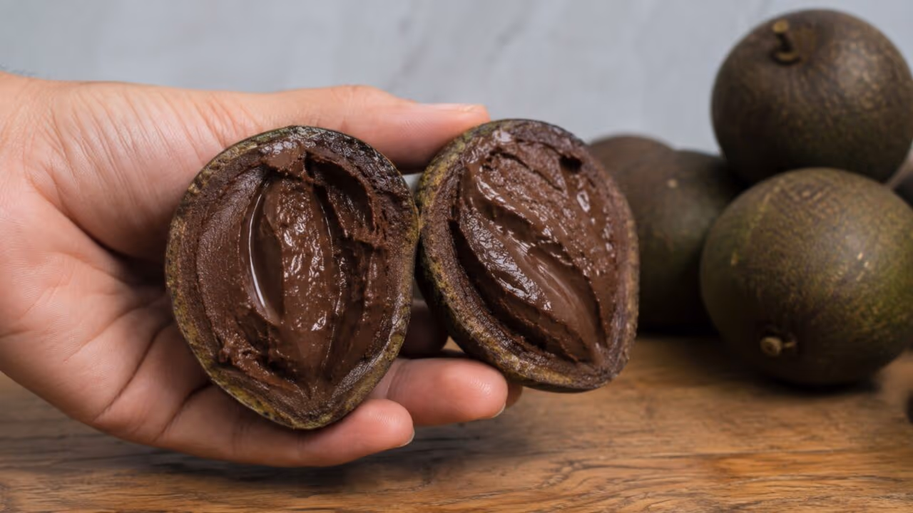 Este fruto exótico tem gosto de chocolate e poucos conhecem essa raridade