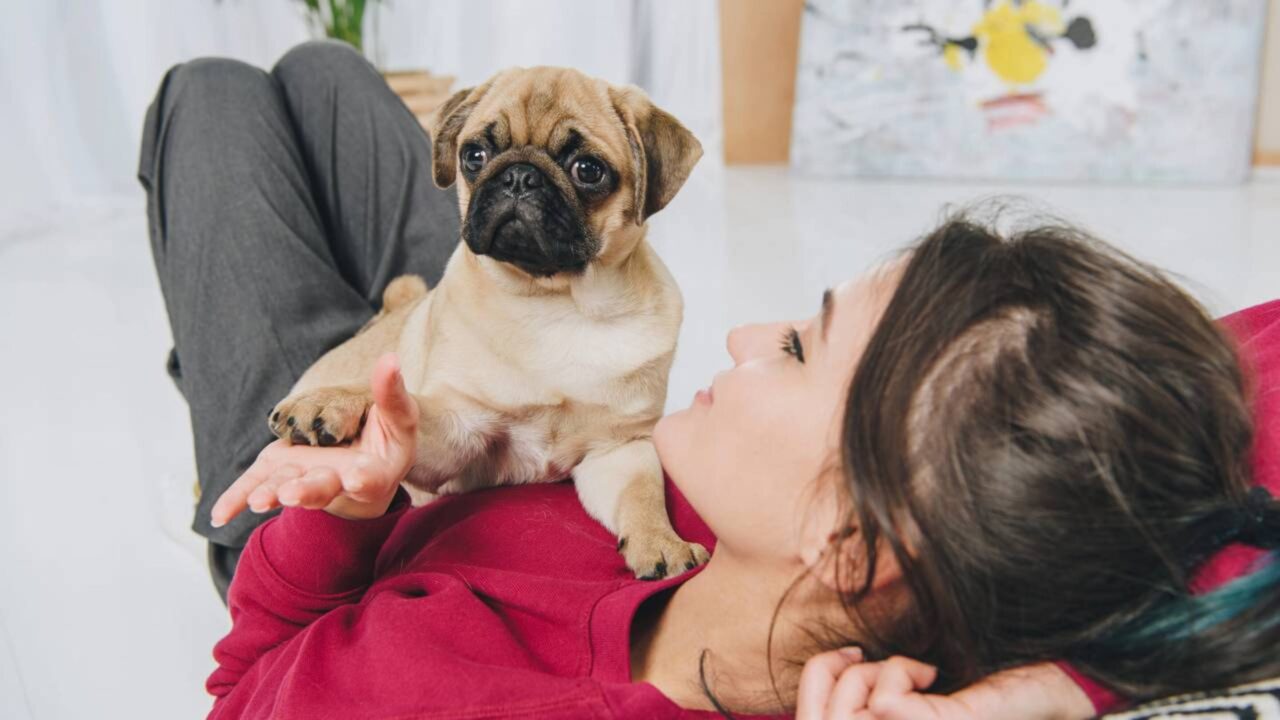 A psicologia diz que quem fala com o cachorro como se ele entendesse tudo pode estar revelando uma necessidade humana profunda