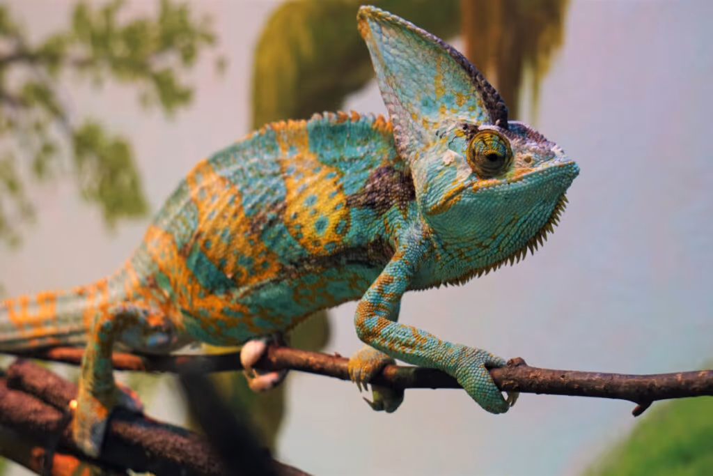 Reis da camuflagem: 7 animais que conseguem desaparecer na natureza 