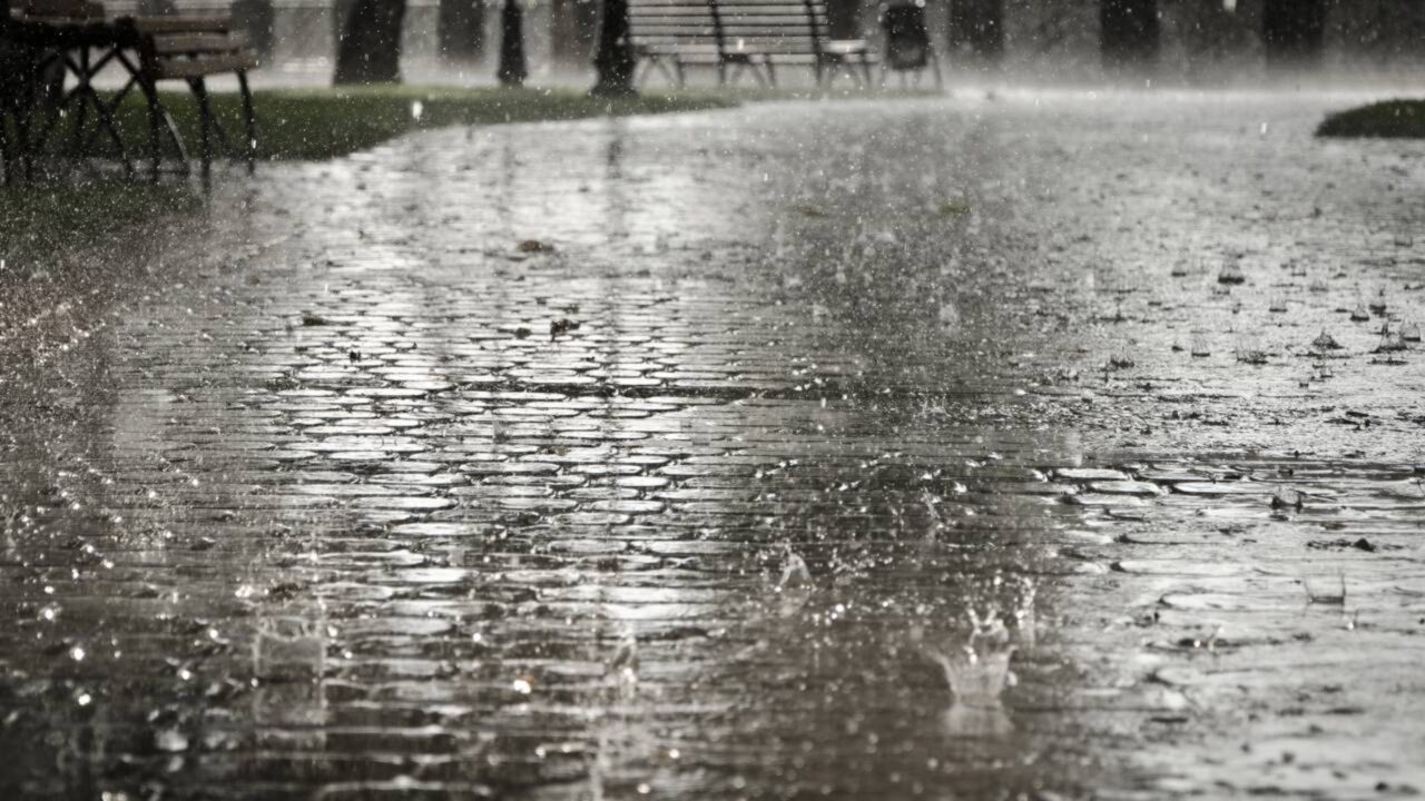 O cheiro que toma conta do ar após a primeira chuva depois de um período de seca tem nome: petrichor, uma combinação de óleos vegetais, bactérias do solo e moléculas que o nariz humano detecta em concentrações surpreendentes