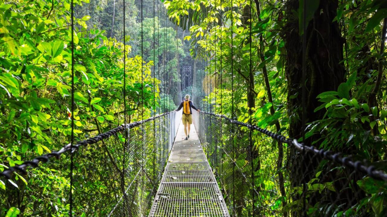 A cobertura florestal da Costa Rica caiu para apenas 21% em 1987, mas um pequeno imposto sobre a gasolina ajudou o país a recuperar suas florestas nas décadas seguintes