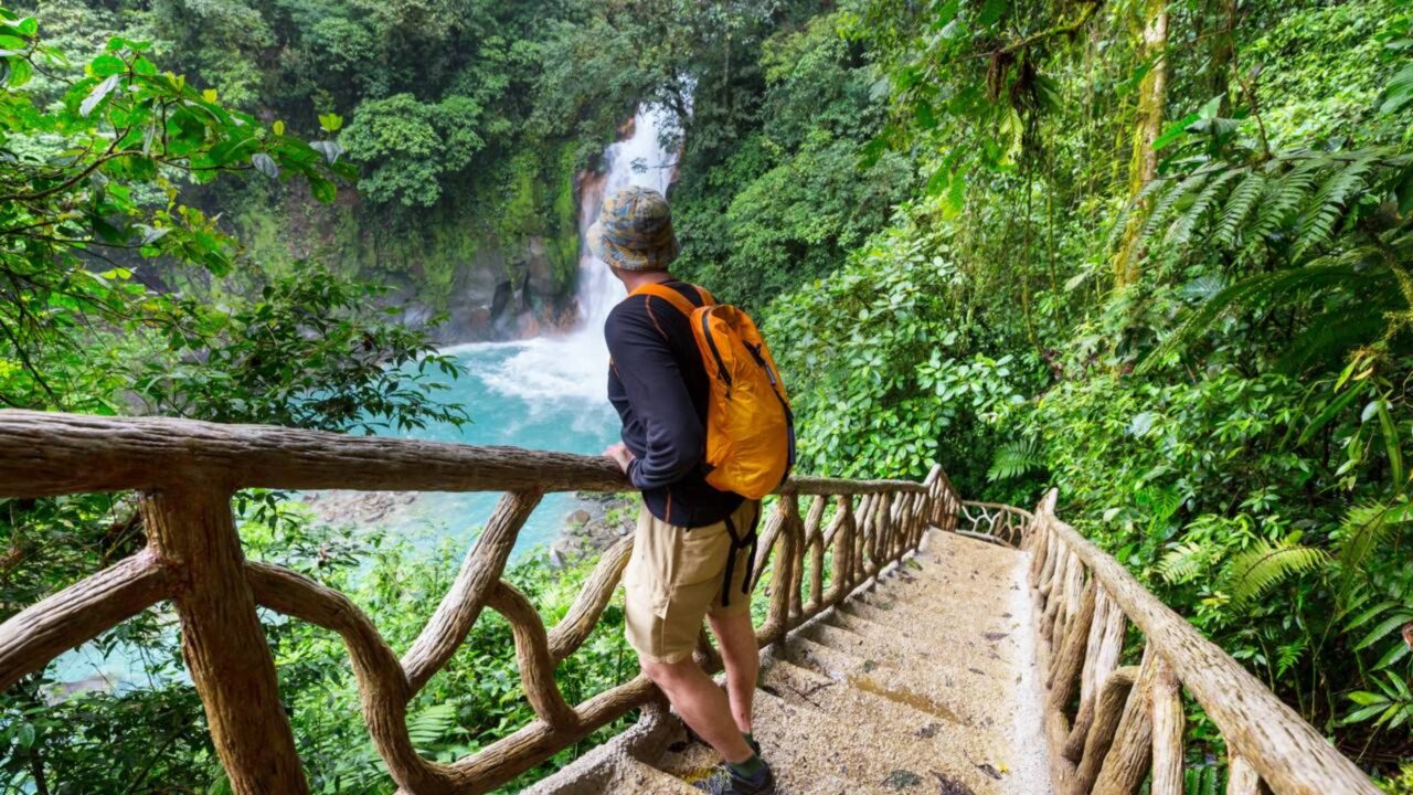 A cobertura florestal da Costa Rica caiu para apenas 21% em 1987, mas um pequeno imposto sobre a gasolina ajudou o país a recuperar suas florestas nas décadas seguintes