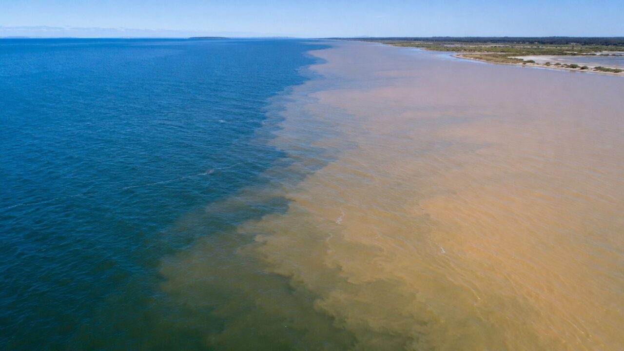 Diferenças de salinidade, sedimentos, temperatura e correntes explicam a divisão visual entre as águas