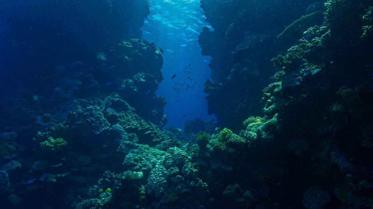 O ponto mais profundo dos oceanos é tão extremo que, se o Monte Everest fosse colocado em seu interior, seu cume ainda permaneceria muito abaixo da superfície