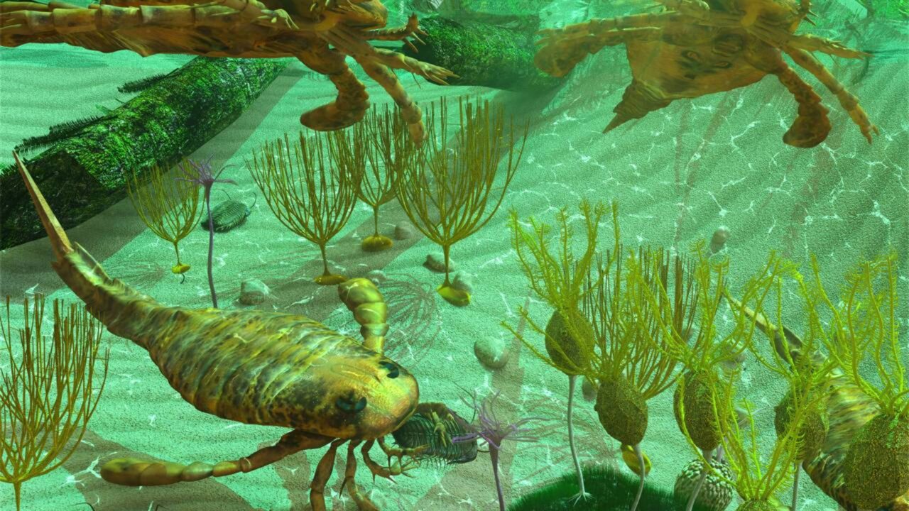 Os tubarões surgiram há cerca de 450 milhões de anos, antes das árvores, das florestas e das primeiras plantas de folhas largas existirem na Terra