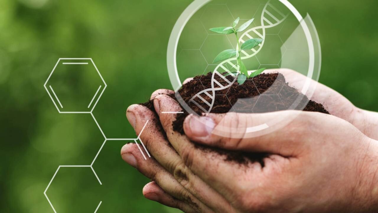 O DNA que flutua na atmosfera está abrindo uma nova fronteira para a ciência
