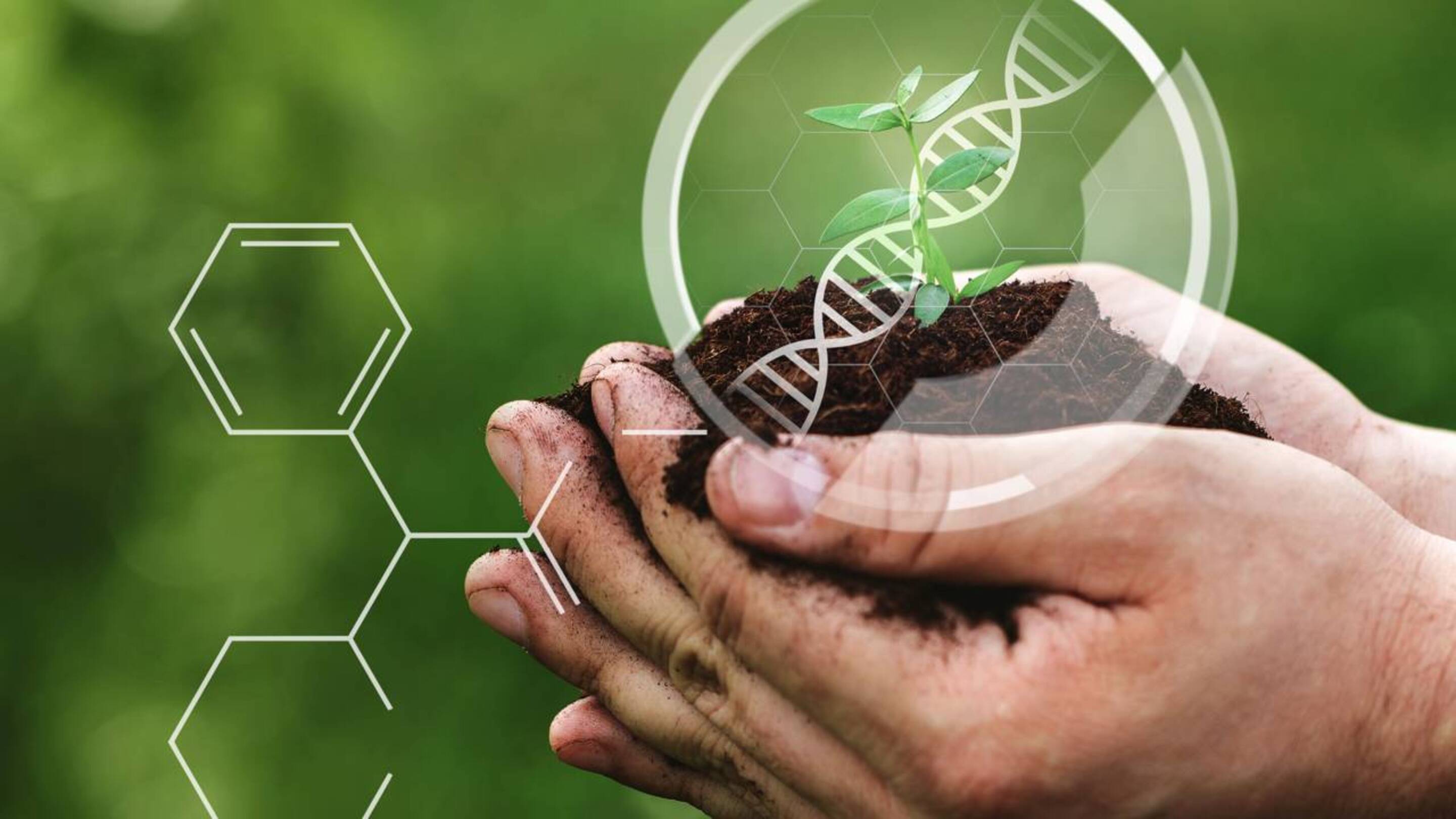 O DNA que flutua na atmosfera está abrindo uma nova fronteira para a ciência