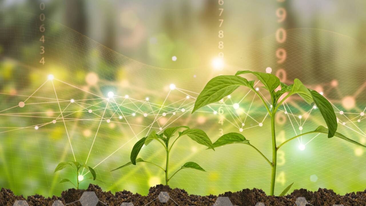 O DNA que flutua na atmosfera está abrindo uma nova fronteira para a ciência