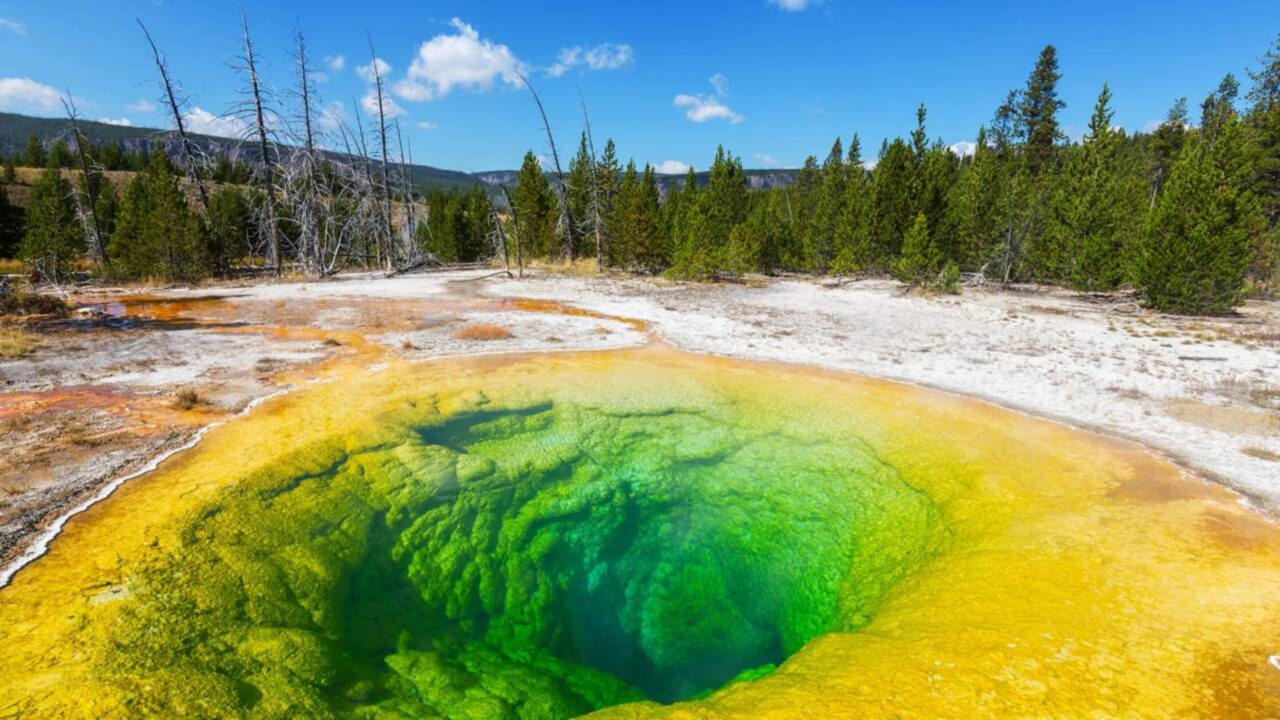 A descoberta de fontes hidrotermais em 1977 mudou a biologia ao revelar ecossistemas sustentados por energia química, e não pela fotossíntese