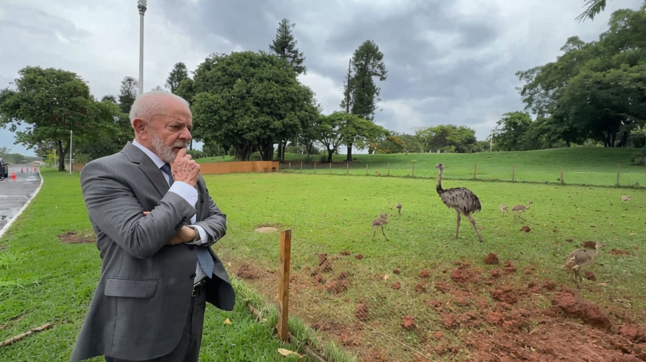 Governo Lula gastará R$ 566 mil com ração para emas e jabuti