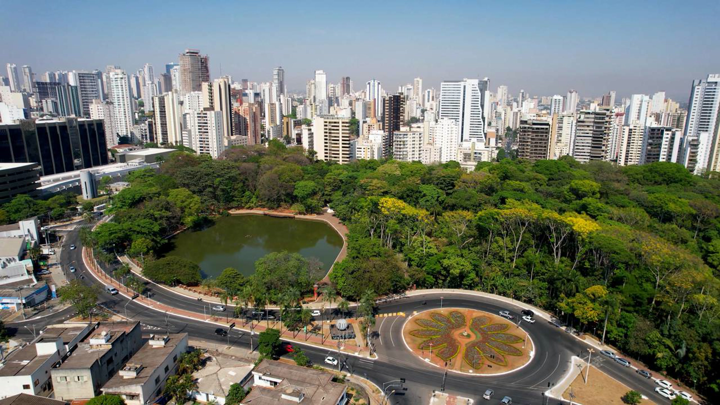 Mais de 1 milhão de árvores e 95 m² de verde por morador: a capital que a ONU elegeu como uma das mais arborizadas do mundo
