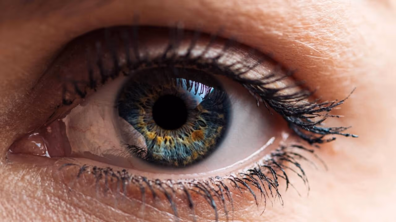 Todos os olhos azuis comuns parecem ter uma origem compartilhada em um único ancestral que viveu há cerca de 6.000 a 10.000 anos, ligado a uma antiga mutação genética