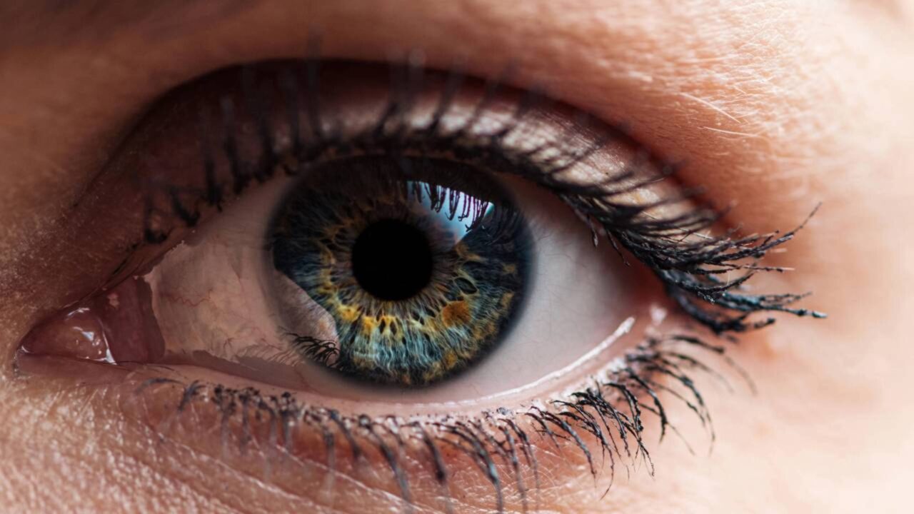 Todos os olhos azuis comuns parecem ter uma origem compartilhada em um único ancestral que viveu há cerca de 6.000 a 10.000 anos, ligado a uma antiga mutação genética