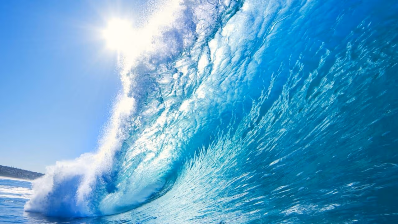 Uma única onda quebrando na praia pode conter mais organismos vivos do que o total de seres humanos que já existiram na Terra ao longo de toda a história