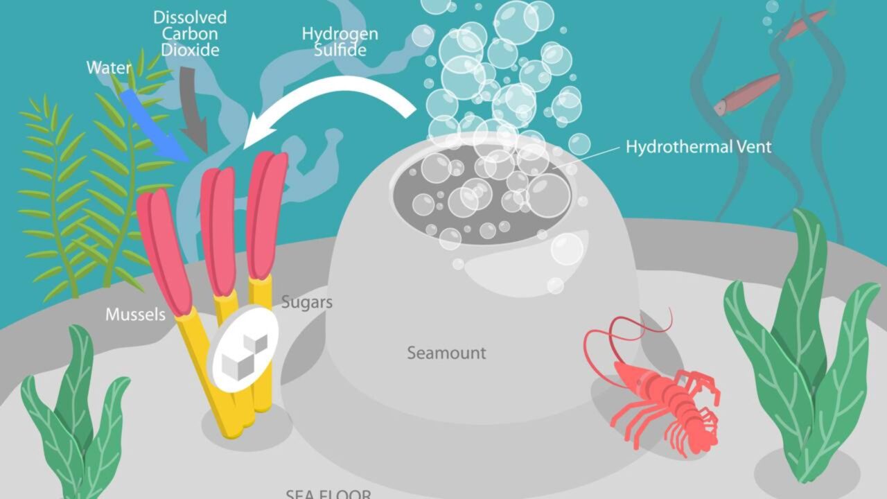 Cientistas descobriram ecossistemas completos a 9.500 metros de profundidade no Pacífico que sobrevivem sem depender da luz do Sol, alimentados por gases que escapam do fundo do mar