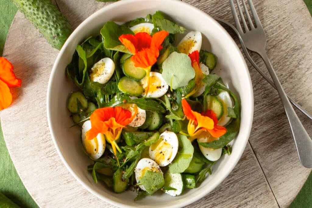 Almoço saudável: 5 receitas fáceis e nutritivas com ovo para o dia a dia