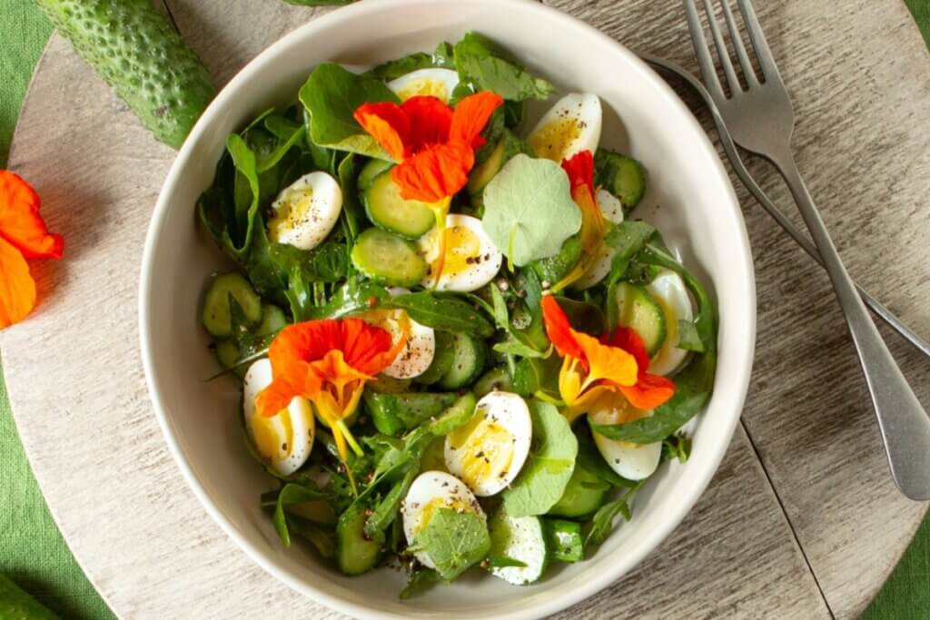 Almoço saudável: 5 receitas fáceis e nutritivas co
