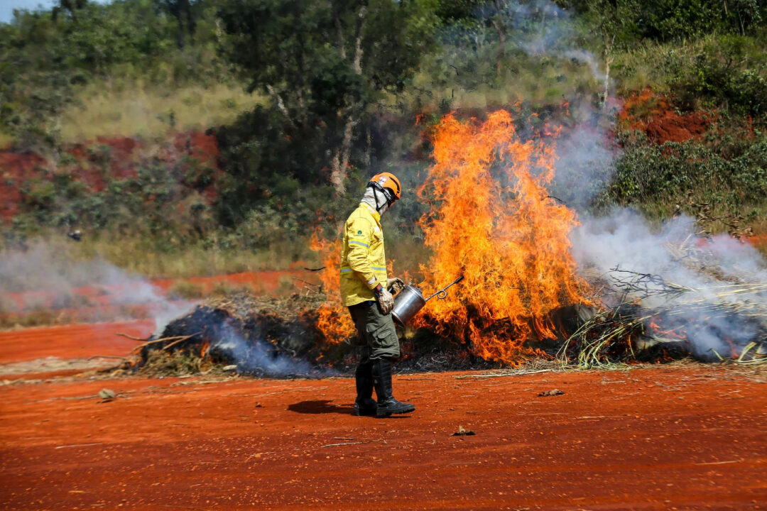 Nove em cada dez incêndios em SP têm causa na ação humana