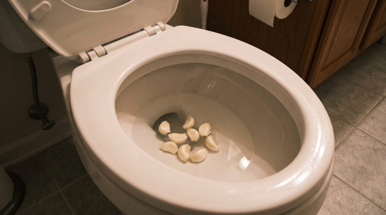 Colocar um dente de alho no vaso sanitário à noite: o que acontece com a limpeza e as bactérias enquanto você dorme