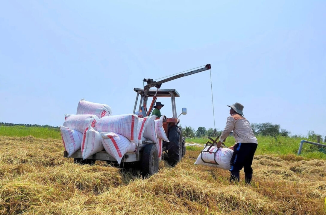 Dois irmãos agricultores construíram uma garra hidráulica caseira, acoplaram ao trator da propriedade, e a máquina passou a levantar, girar e empilhar até 400 sacos de arroz por dia, um serviço que antes era feito no braço