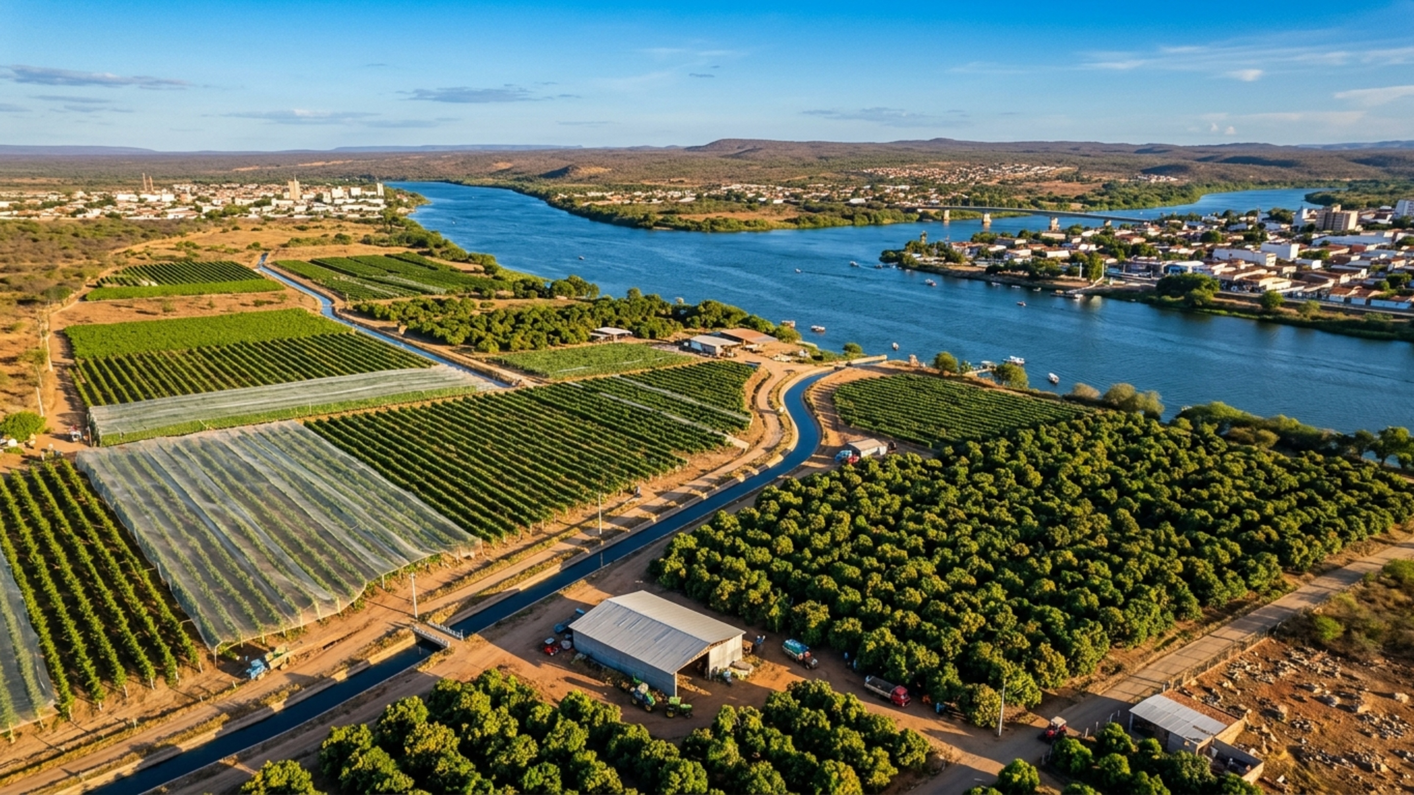 Cidade do Sertão que exporta frutas para mais de 50 países e movimenta perto de US$ 1 bilhão