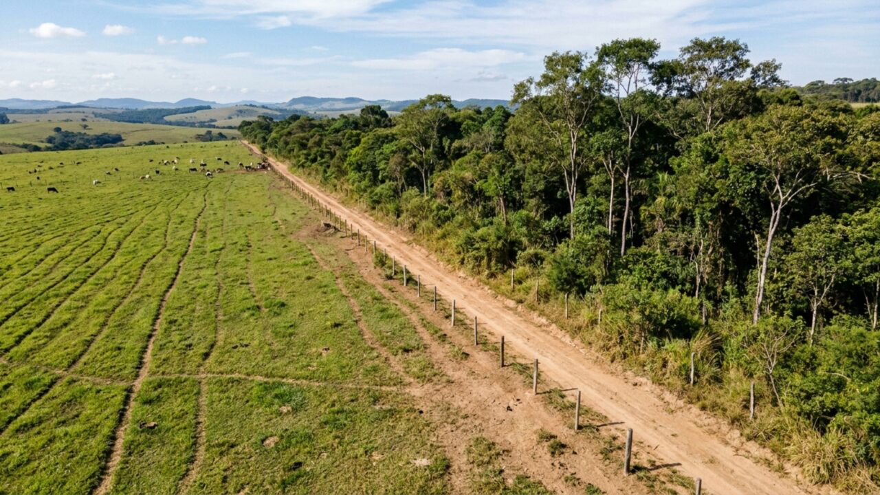 Fazendeiro perde ação e é obrigado a devolver terra produtiva de R$ 8 milhões após décadas no local: entenda a decisão do STF sobre áreas de reserva