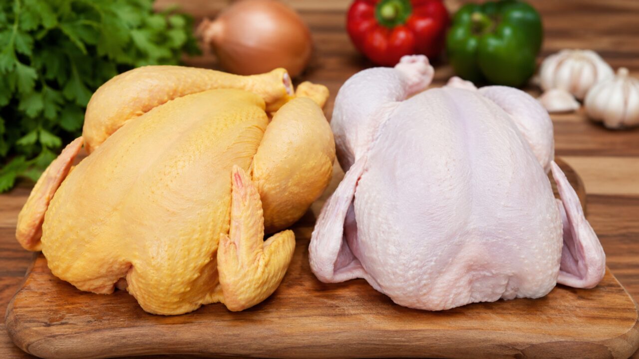 Frango com pele amarela ou branca qual é a diferença e qual opção deve ser comprada
