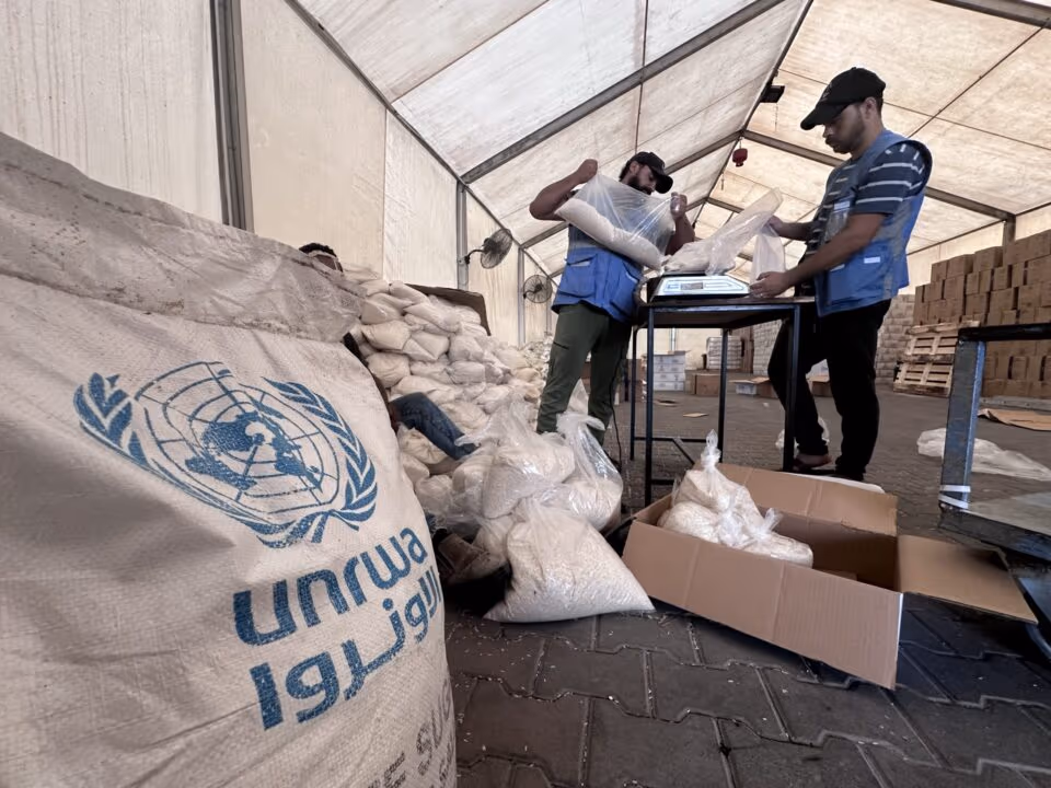 Crusoé: UN Watch quer revogar imunidade do ex-chefe de agência para palestinos