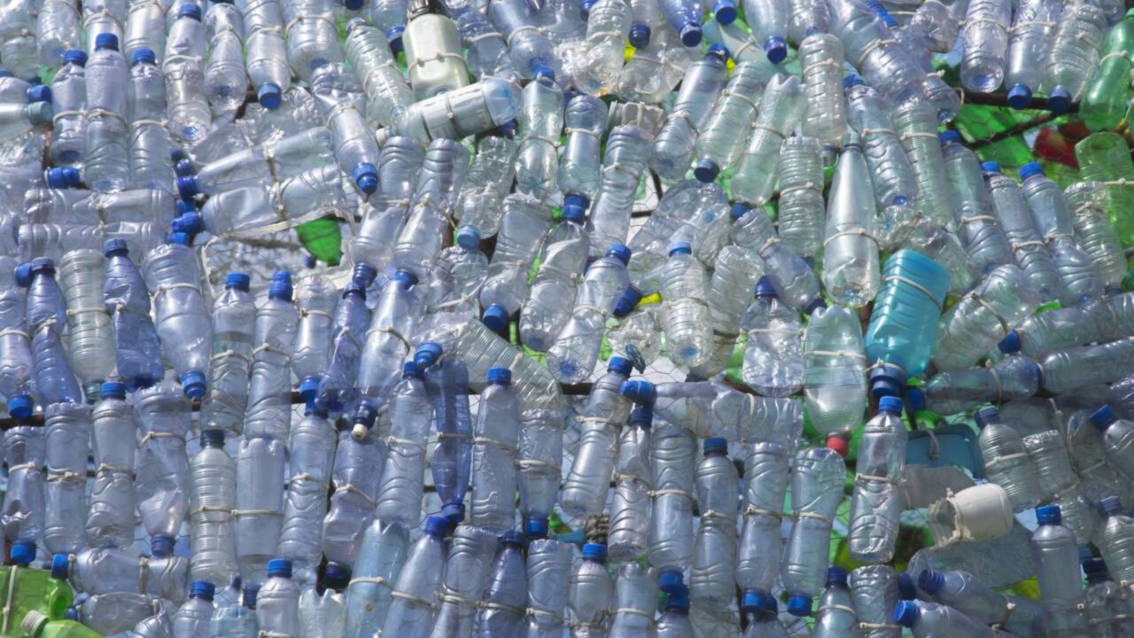 Garrafas plásticas recicladas ajudam a reduzir a captura de golfinhos em redes de pesca em até 88%