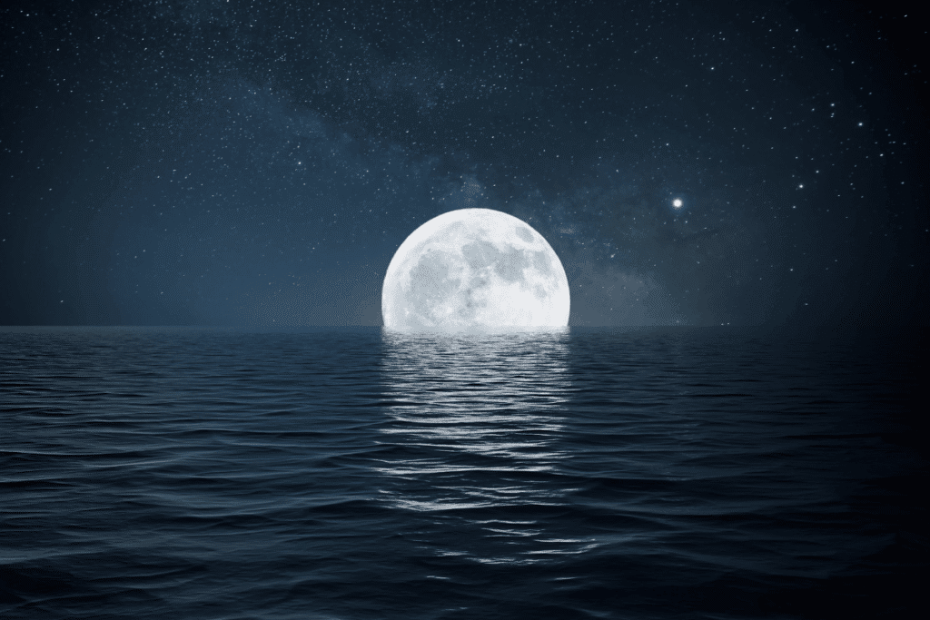 Lua hoje: veja qual é a fase lunar desta quarta-feira, 29 de julho de 2026