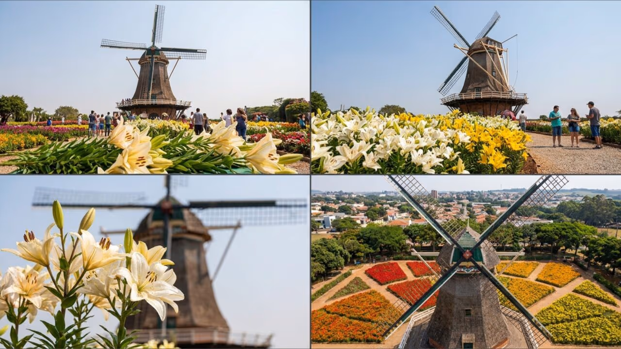 Floricultor holandês ajudou a transformar uma cidade de 15 mil moradores em um dos melhores destinos do Brasil
