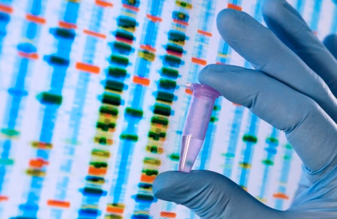 Cientista afirma ter criado técnica para editar embriões humanos