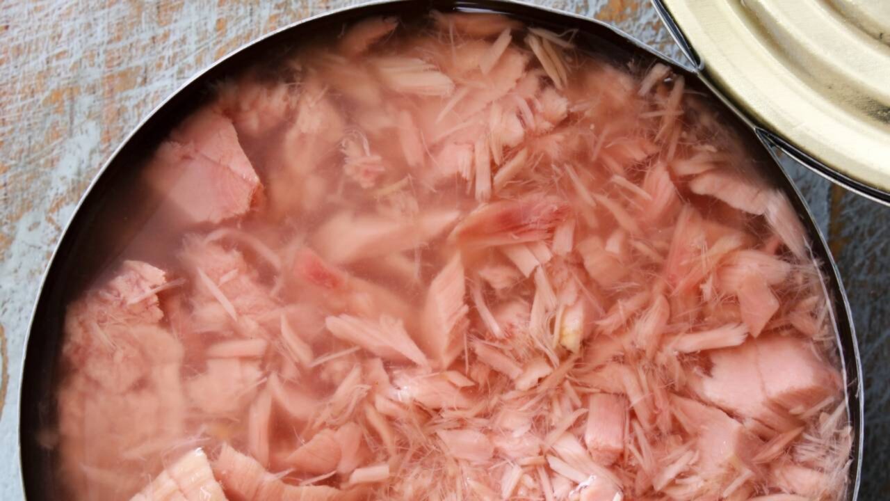 Qual é a diferença entre atum em lata na água e no óleo e qual comprar