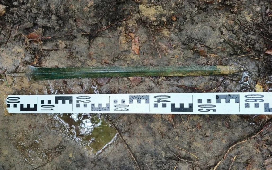 Uma espada da Idade do Bronze de 2.700 anos foi encontrada em pé em uma floresta polonesa e pode ser uma oferenda ritual
