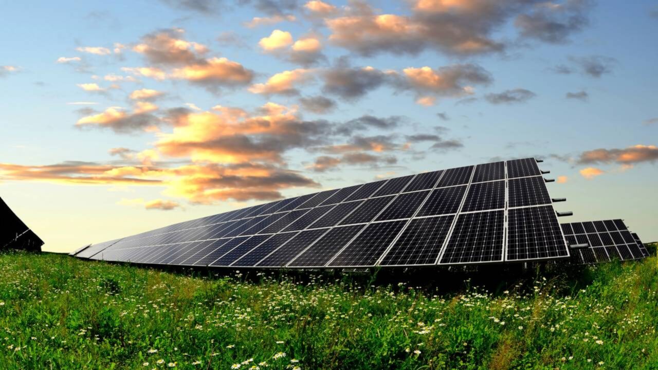 Uma fazenda de usina solar foi construída para gerar energia, mas o solo sob os painéis começou silenciosamente a fazer algo que ninguém planejou
