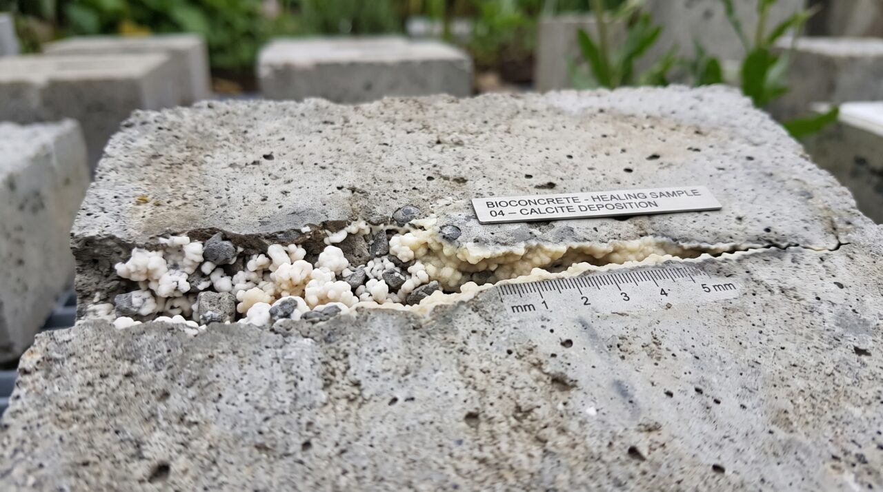A mistura viva de bactérias e cimento que “cura” as próprias rachaduras sozinha e promete criar pontes e prédios que duram séculos sem manutenção