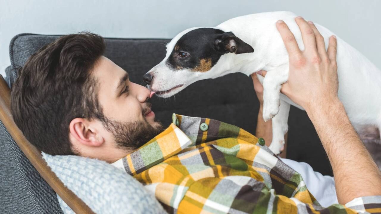 Pesquisadores descobriram que o contato visual entre cães e humanos desencadeia a liberação de ocitocina em ambos, criando um vínculo biológico semelhante ao de mães e filhos