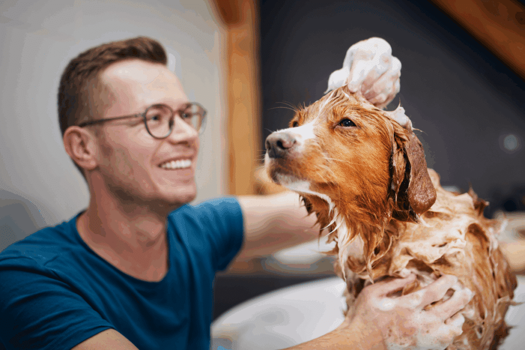 Banho no inverno: 6 dicas para garantir a segurança e o conforto dos animais