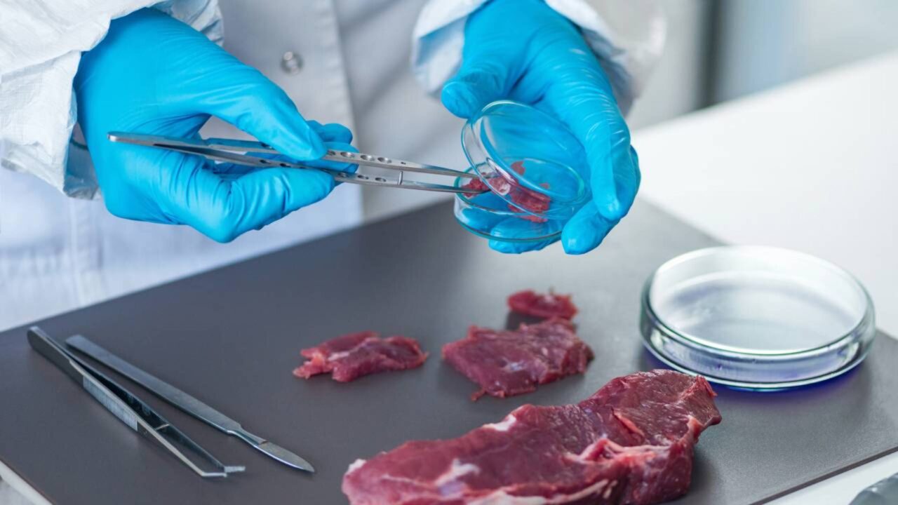 Singapura tornou-se o primeiro país do mundo a aprovar a venda de carne cultivada em laboratório, produzida sem o abate de animais
