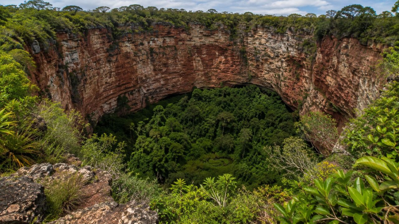 Sucuri gigante vive isolada em cratera de 100 metros e intriga visitantes no Buraco das Araras