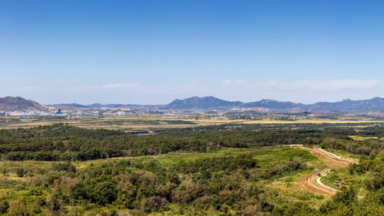 A fronteira mais militarizada do planeta permaneceu isolada por sete décadas e, inesperadamente, transformou-se em um dos refúgios de vida selvagem mais ricos da Ásia