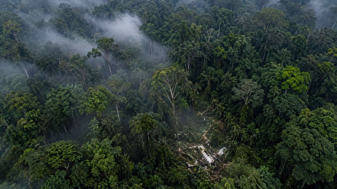 Juliane Koepcke caiu 3.000 metros em desastre aéreo no Peru e sobreviveu 11 dias sozinha na floresta amazônica