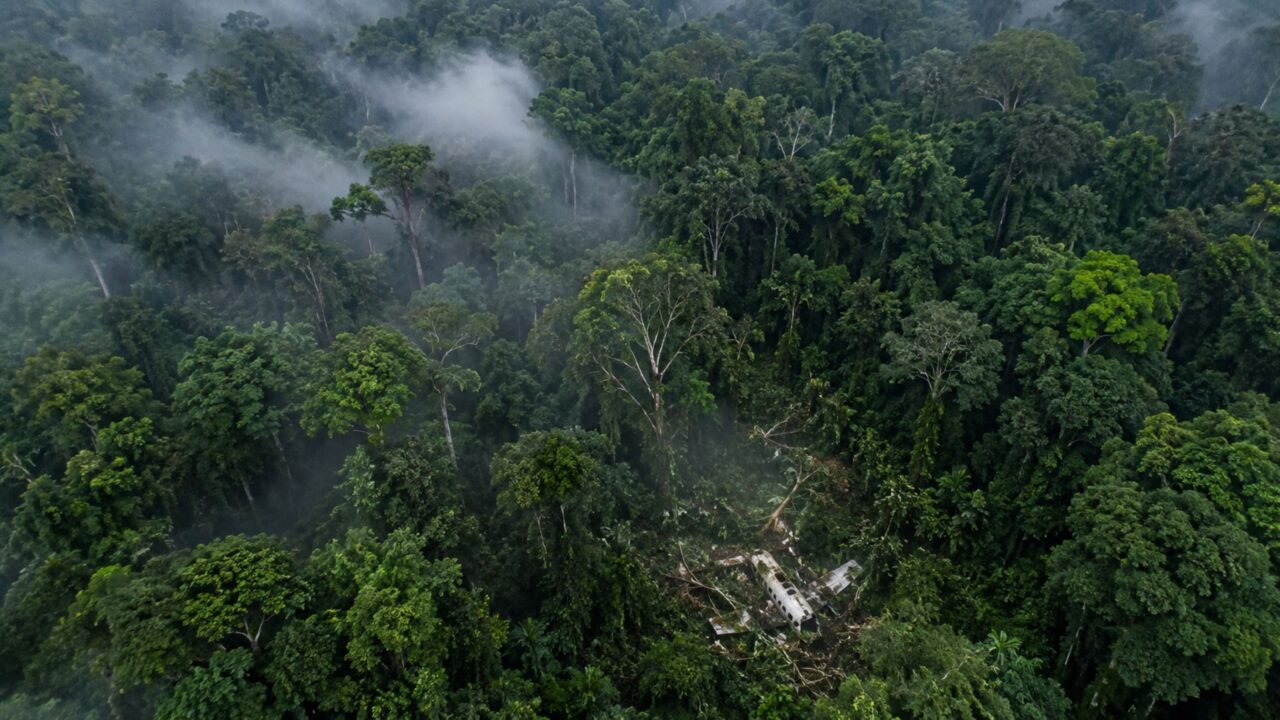 Juliane Koepcke caiu 3.000 metros em desastre aéreo no Peru e sobreviveu 11 dias sozinha na floresta amazônica