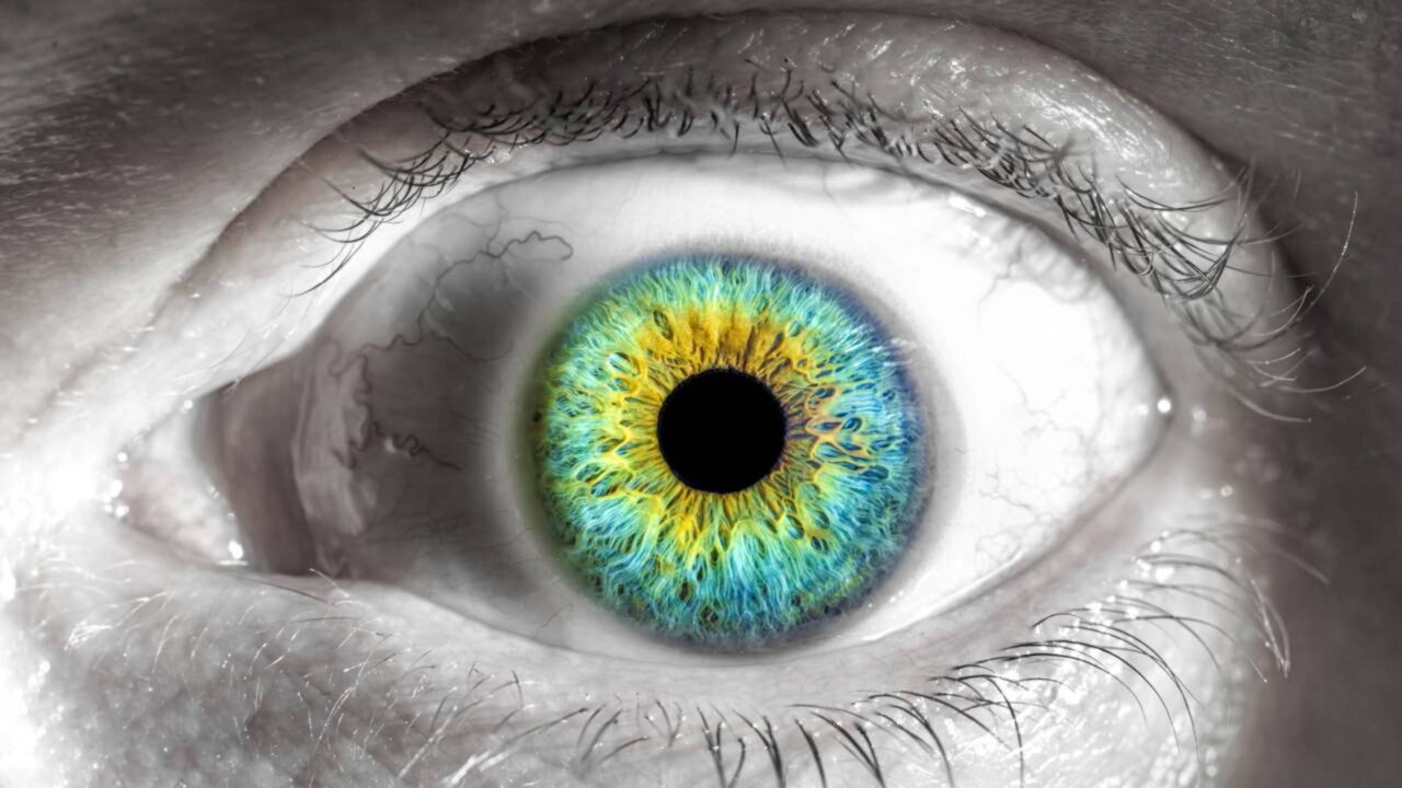 Mihaly Csikszentmihalyi, psicólogo que descobriu o estado mental conhecido como “flow”: “Os melhores momentos geralmente acontecem quando desafiamos nossos limites.”