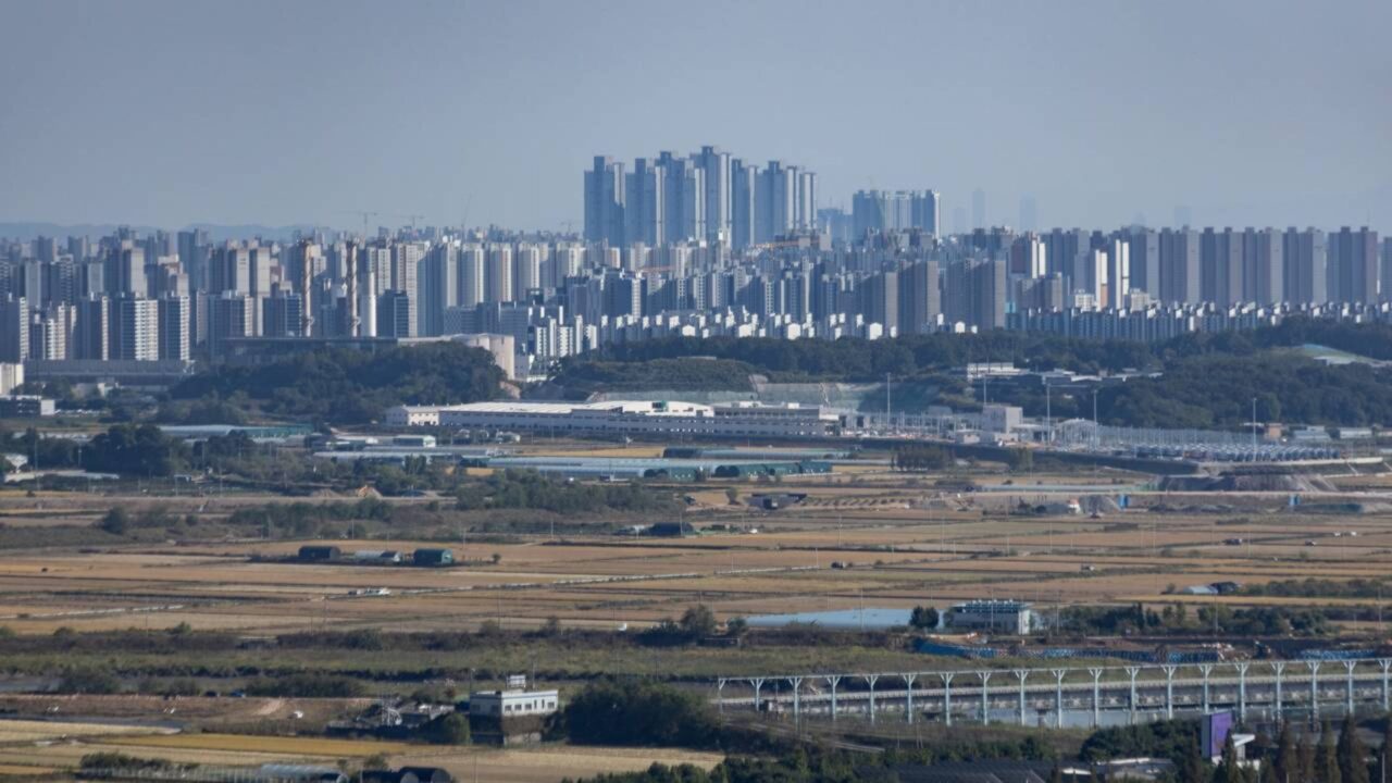 A fronteira mais militarizada do planeta permaneceu isolada por sete décadas e, inesperadamente, transformou-se em um dos refúgios de vida selvagem mais ricos da Ásia